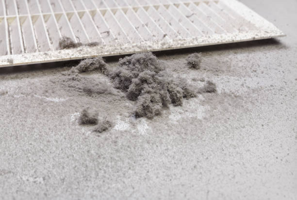 Best Air Duct Cleaning Near Me in Shallotte, NC