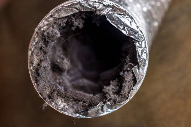 Best Affordable Duct Cleaning Services  in Shallotte, NC