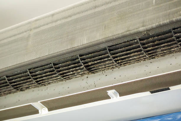 Best Emergency Air Duct Cleaning  in Shallotte, NC